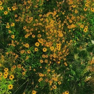 Meet your Posher, Wendy